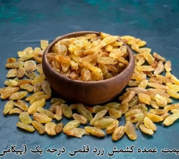 خرید و قیمت عمده کشمش زرد قلمی درجه یک (پیکامی)