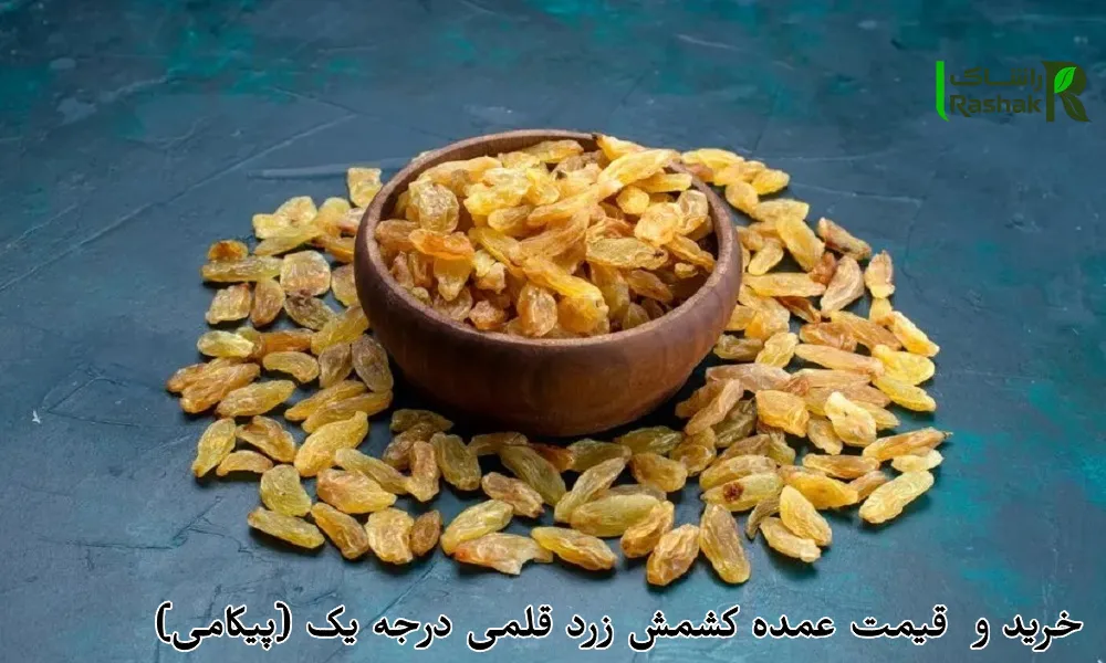 خرید و قیمت عمده کشمش زرد قلمی درجه یک (پیکامی)