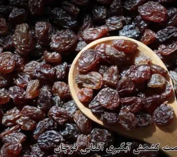 خرید و قیمت کشمش آبگیری آفتابی قوچان