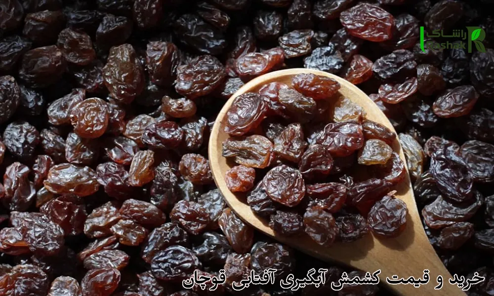 خرید و قیمت کشمش آبگیری آفتابی قوچان