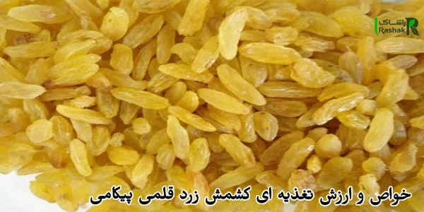 خواص و ارزش تغذیه ای کشمش زرد قلمی پیکامی