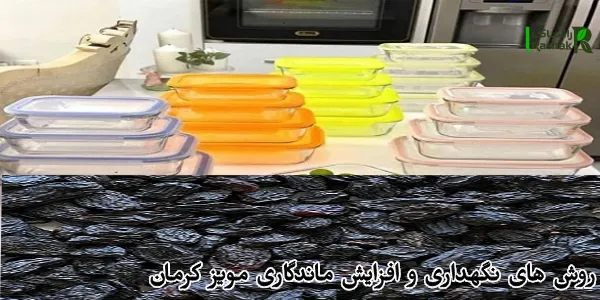 روش های نگهداری و افزایش ماندگاری مویز کرمان