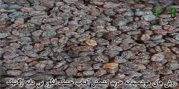 روش های هوشمندانه خرید کشمش آفتاب خشک انگور بی دانه ارگانیک