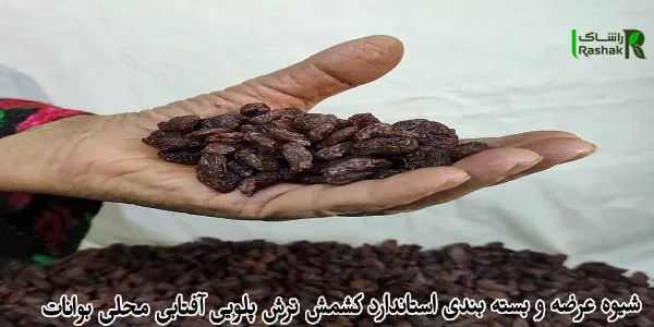 شیوه عرضه و بسته بندی استاندارد کشمش ترش پلویی آفتابی محلی بوانات