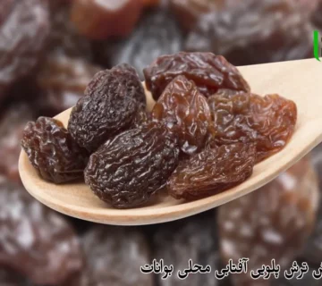 عرضه کشمش ترش پلویی آفتابی محلی بوانات