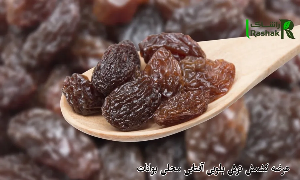 عرضه کشمش ترش پلویی آفتابی محلی بوانات