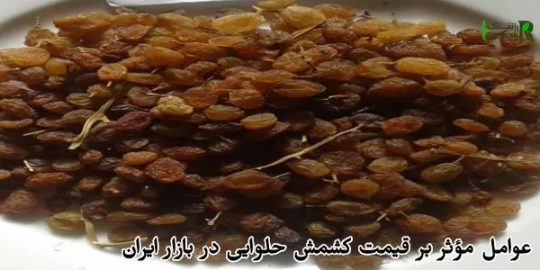 عوامل مؤثر بر قیمت کشمش حلوایی در بازار ایران