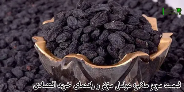 قیمت مویز ملایر؛ عوامل مؤثر و راهنمای خرید اقتصادی