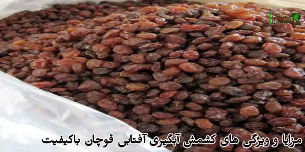 مزایا و ویژگی های کشمش آبگیری آفتابی قوچان باکیفیت