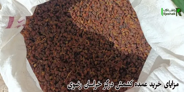 مزایای خرید عمده کشمش درگز خراسان رضوی مزایای خرید عمده کشمش درگز خراسان رضوی