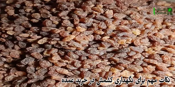 نکات مهم برای نگهداری کشمش در خرید عمده نکات مهم برای نگهداری کشمش در خرید عمده