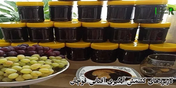 کاربردهای کشمش آبگیری آفتابی قوچان