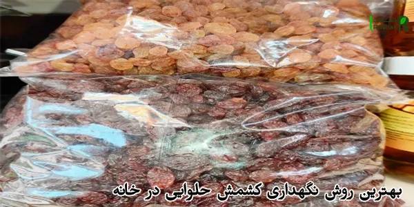 بهترین روش نگهداری کشمش حلوایی در خانه