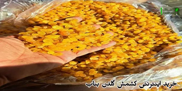 خرید اینترنتی کشمش گلدن بناب