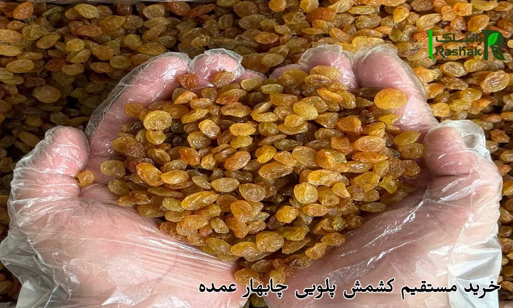 خرید مستقیم کشمش پلویی چابهار عمده