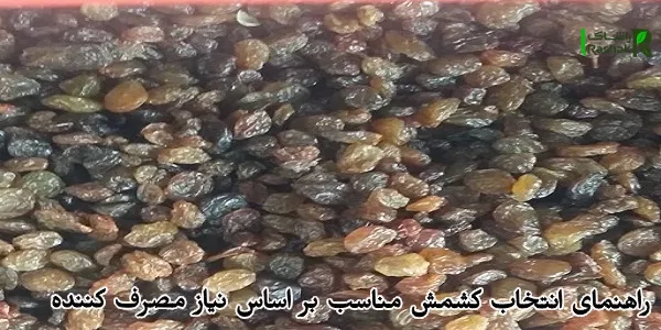 راهنمای انتخاب کشمش مناسب بر اساس نیاز مصرف کننده راهنمای انتخاب کشمش مناسب بر اساس نیاز مصرف کننده