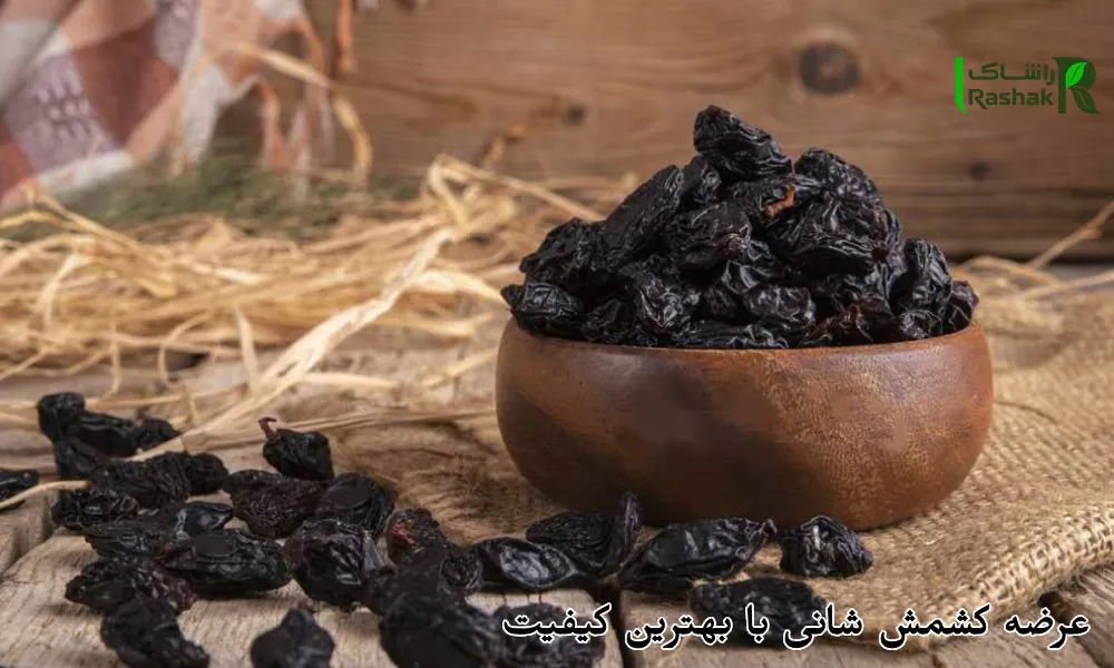 عرضه کشمش شانی با بهترین کیفیت