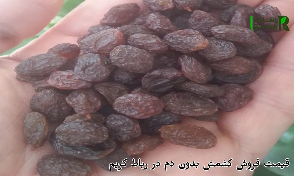 قیمت فروش کشمش بدون دم در رباط کریم