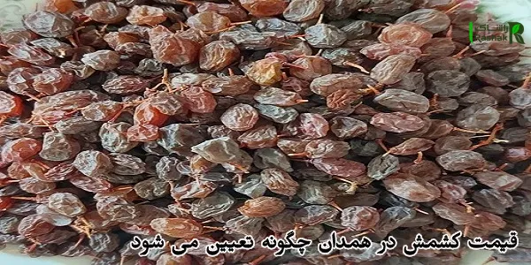 قیمت کشمش در همدان چگونه تعیین می شود قیمت کشمش در همدان چگونه تعیین می شود