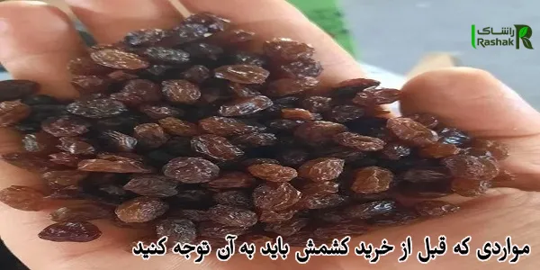 مواردی که قبل از خرید کشمش باید به آن توجه کنید