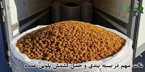 نکات مهم در بسته بندی و حمل کشمش پلویی عمده نکات مهم در بسته بندی و حمل کشمش پلویی عمده