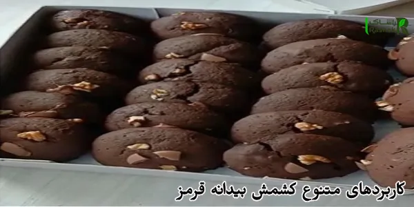 کاربردهای متنوع کشمش بیدانه قرمز