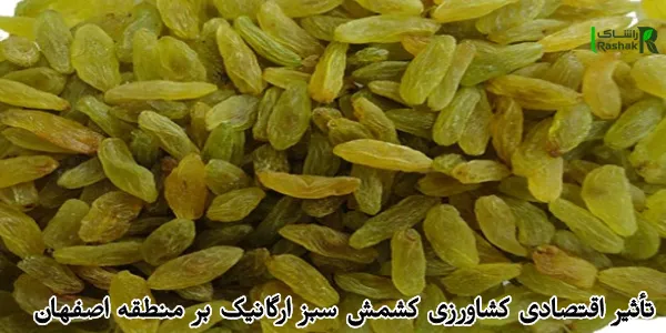 تأثیر اقتصادی کشاورزی کشمش سبز ارگانیک بر منطقه اصفهان تأثیر اقتصادی کشاورزی کشمش سبز ارگانیک بر منطقه اصفهان
