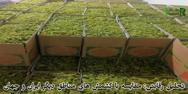 تحلیل رقابتی: مقایسه با کشمش های مناطق دیگر ایران و جهان