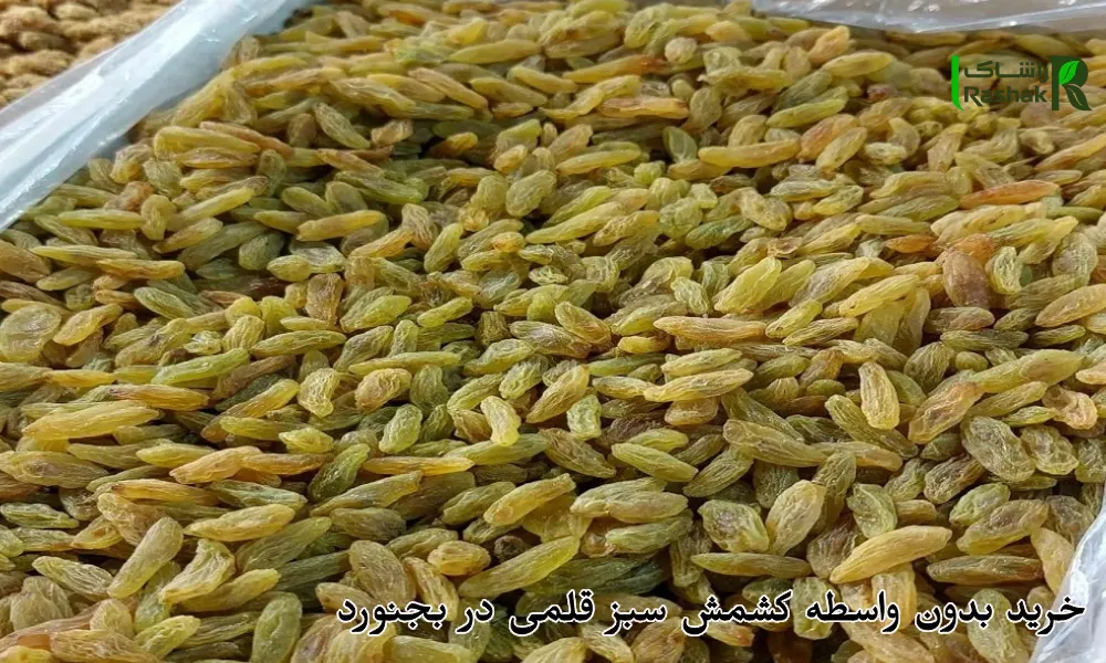 خرید بدون واسطه کشمش سبز قلمی در بجنورد