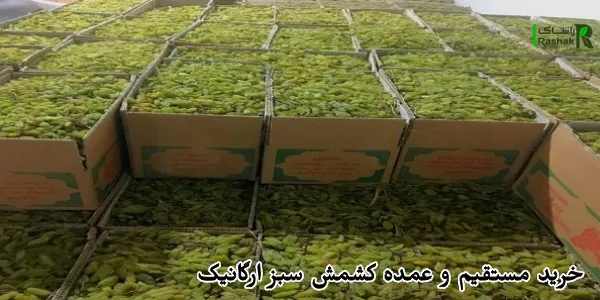 خرید مستقیم و عمده کشمش سبز ارگانیک بدون واسطه از تولیدکنندگان خرید مستقیم و عمده کشمش سبز ارگانیک بدون واسطه از تولیدکنندگان