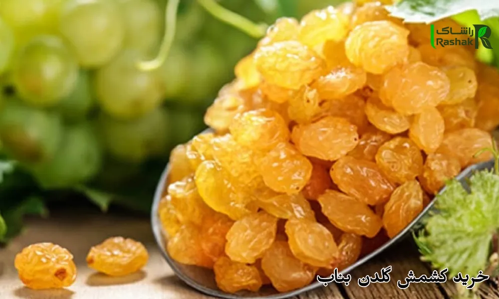 خرید کشمش گلدن بناب