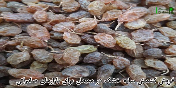 فروش کشمش سایه خشک در همدان برای بازارهای صادراتی