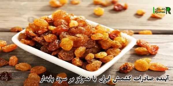 آینده صادرات کشمش ایران با تمرکز بر سود پایدار آینده صادرات کشمش ایران با تمرکز بر سود پایدار