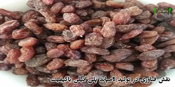 تحلیل عوامل مؤثر بر قیمت روز کشمش در بازار شیراز تحلیل عوامل مؤثر بر قیمت روز کشمش در بازار شیراز