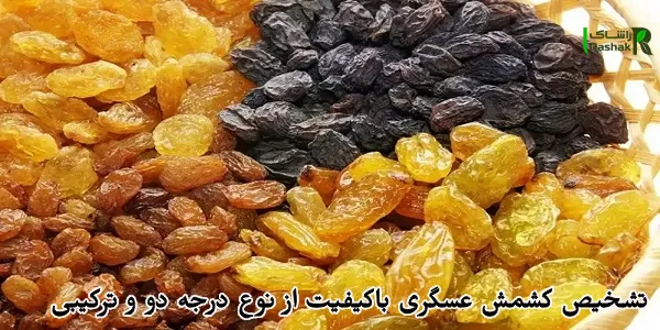 تشخیص کشمش عسگری باکیفیت از نوع درجه دو و ترکیبی