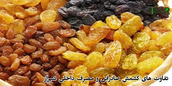 تفاوت های کشمش صادراتی و مصرف داخلی شیراز تفاوت های کشمش صادراتی و مصرف داخلی شیراز