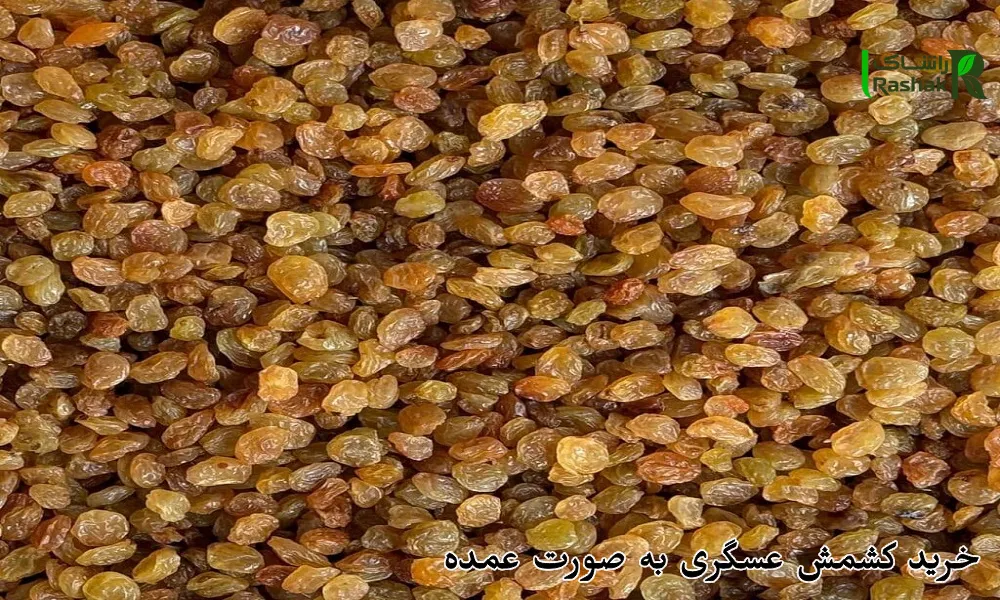 خرید کشمش عسگری به صورت عمده
