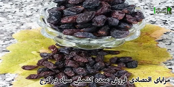 مزایای اقتصادی فروش عمده کشمش سیاه در کرج