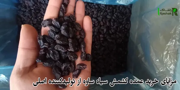 مزایای خرید عمده کشمش سیاه ساوه از تولیدکننده اصلی مزایای خرید عمده کشمش سیاه ساوه از تولیدکننده اصلی