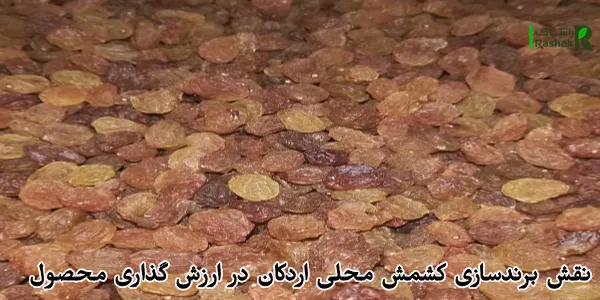 نقش برندسازی کشمش محلی اردکان در ارزش گذاری محصول نقش برندسازی کشمش محلی اردکان در ارزش گذاری محصول