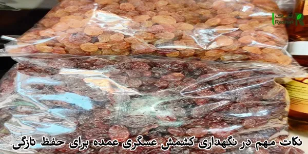 نکات مهم در نگهداری کشمش عسگری عمده برای حفظ تازگی