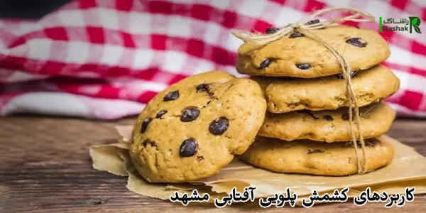 کاربردهای کشمش پلویی آفتابی مشهد کاربردهای کشمش پلویی آفتابی مشهد