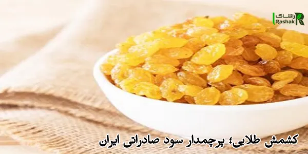 کشمش طلایی؛ پرچمدار سود صادراتی ایران کشمش طلایی؛ پرچمدار سود صادراتی ایران