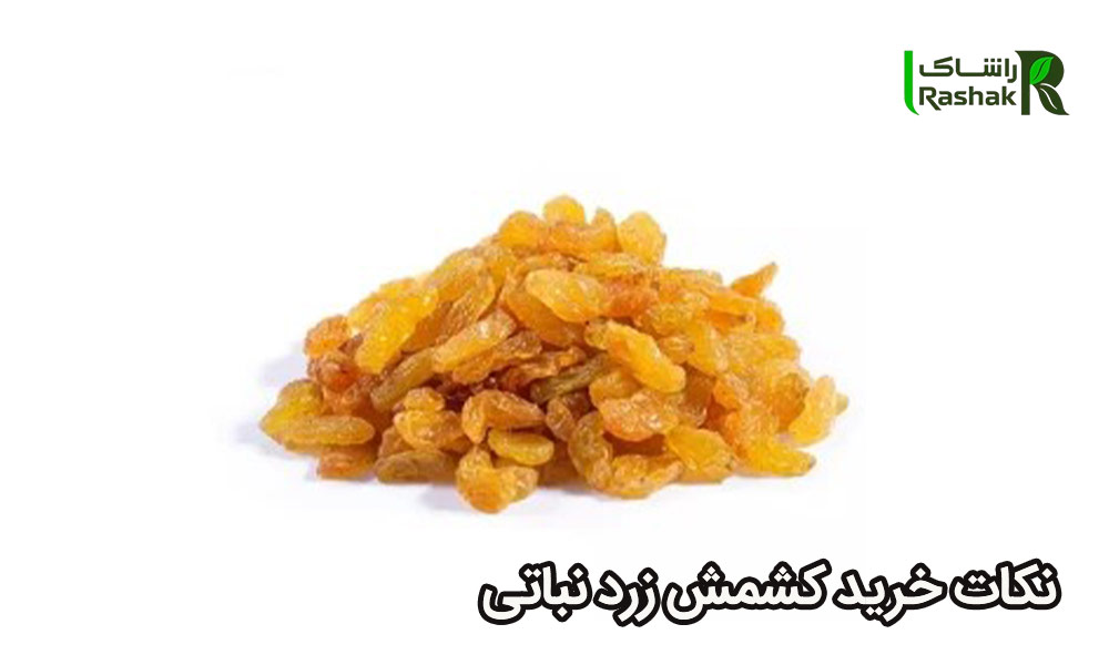 نکات خرید کشمش زرد نباتی