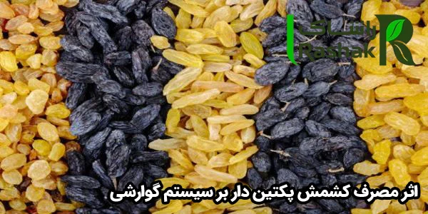 اثر مصرف کشمش پکتين دار بر سيستم گوارشی اثر مصرف کشمش پکتين دار بر سيستم گوارشی
