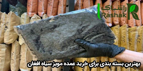 بهترین بسته بندی برای خرید عمده مویز سیاه افغان