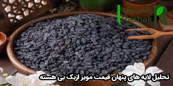 تحلیل لایه های پنهان قیمت مویز ازبک بی هسته تحلیل لایه های پنهان قیمت مویز ازبک بی هسته