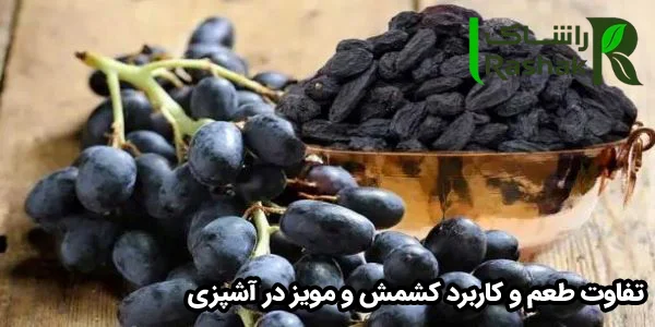 تفاوت طعم و کاربرد کشمش و مویز در آشپزی تفاوت طعم و کاربرد کشمش و مویز در آشپزی