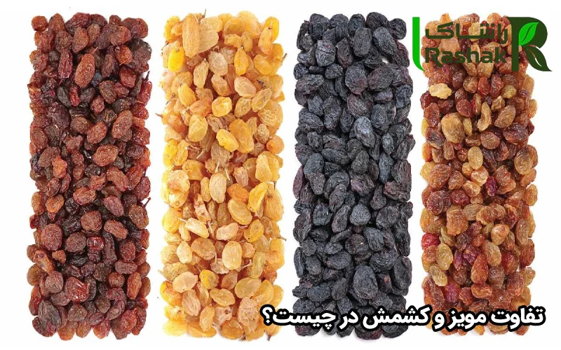 تفاوت مویز و کشمش در چیست؟