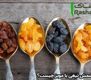 تفاوت کشمش تیغی با مویز چیست؟